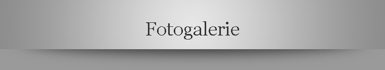 Fotogalerie